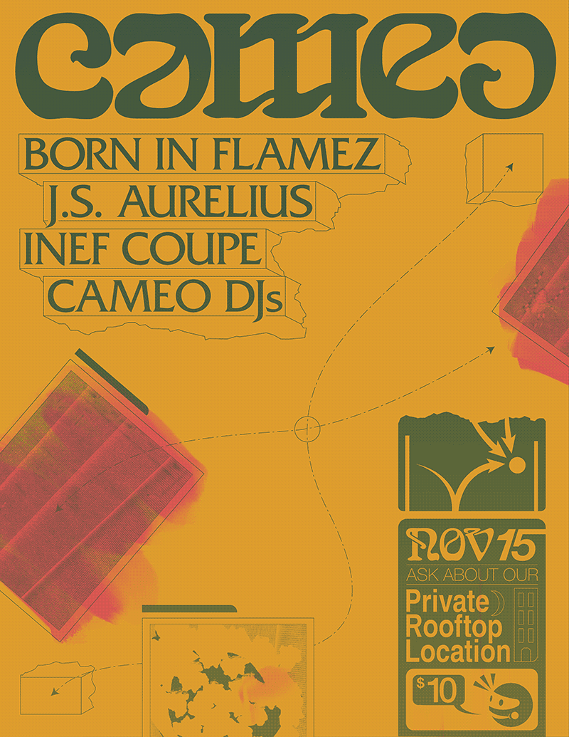 cameo-2018-11