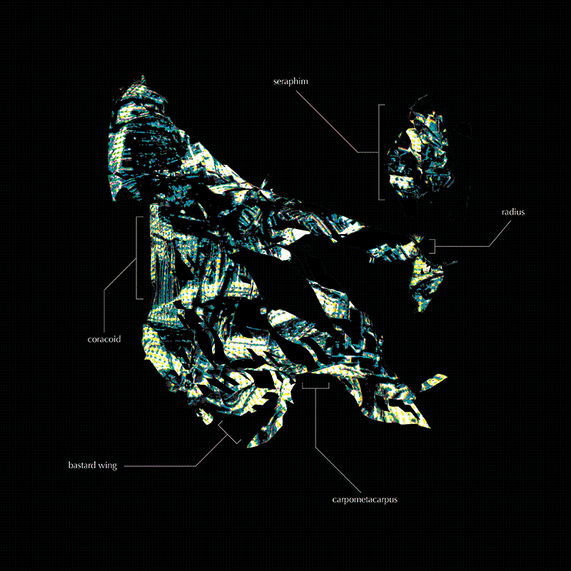 seraphim